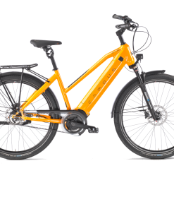 Campus BM 38 E-Bike SUV Gates – Brose – 725 Wh – 8-Gang 29″